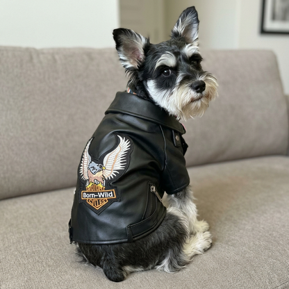 Handmade Leather Dog Jacket