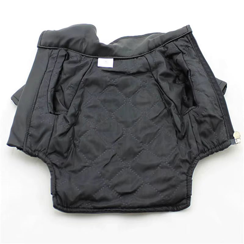 Handmade Leather Dog Jacket