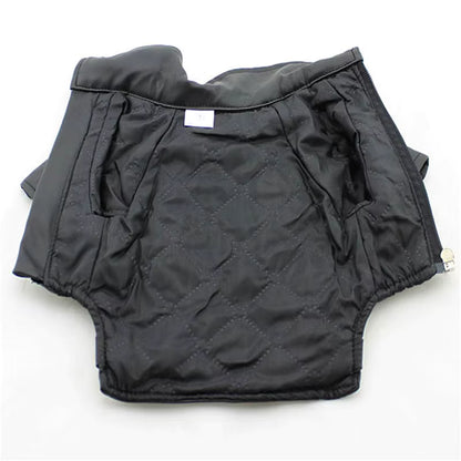 Handmade Leather Dog Jacket